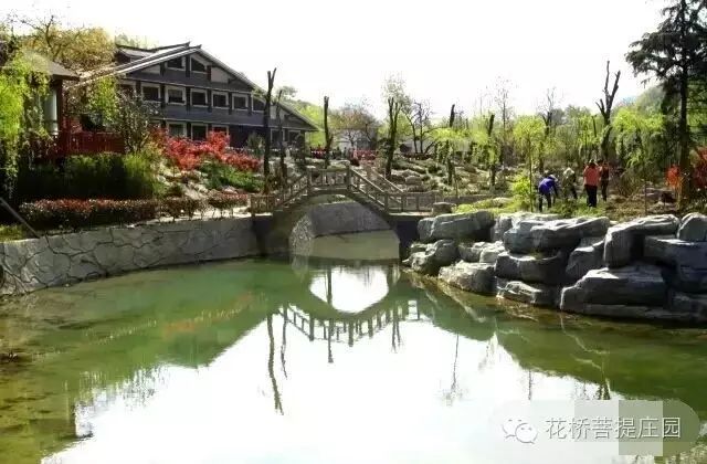 這個周末，隴南康縣花橋有大事要發(fā)生？