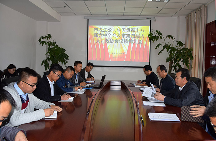 市龍江公司召開全體員工大會，專題傳達學(xué)習(xí)上級會議精神