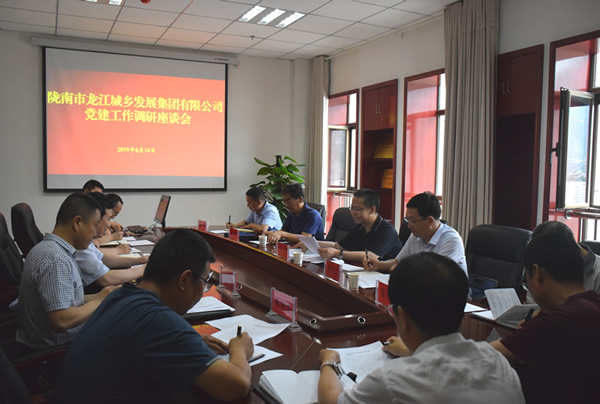 隴南市委常委、組織部部長(zhǎng)楊郃調(diào)研指導(dǎo)市龍江城鄉(xiāng)發(fā)展集團(tuán)公司黨建工作