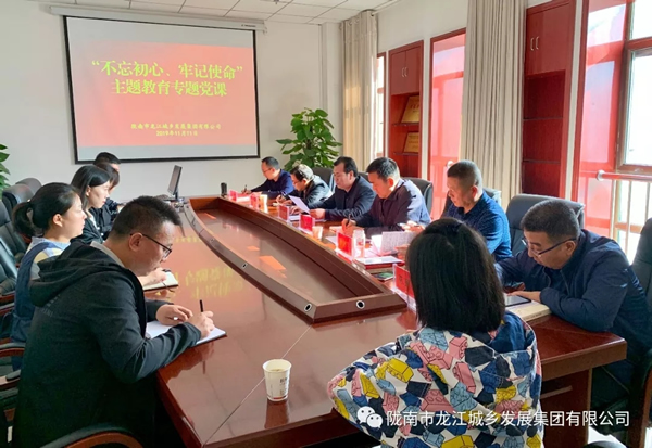市龍江集團(tuán)開展“不忘初心、牢記使命”主題教育專題黨課